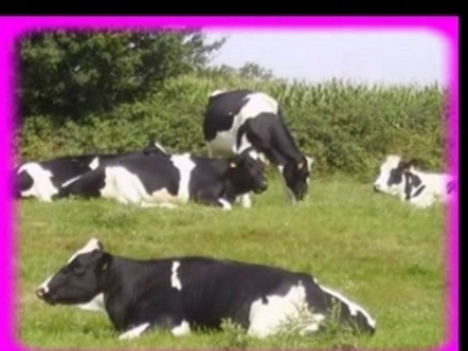 made in normandie