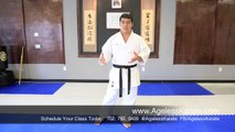 Las Vegas Martial Arts How To | Ageless Shotokan Karate Lessons pt. 8