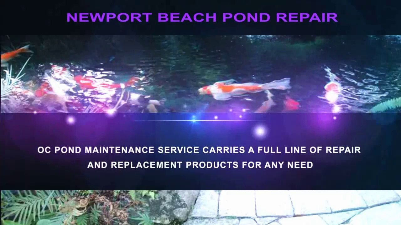 Newport Beach Pond Repair