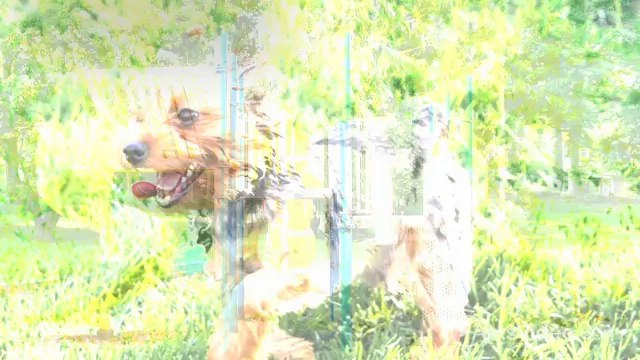 Courtney Estates at Brier Creek Apartments in Raleigh, NC - ForRent.com