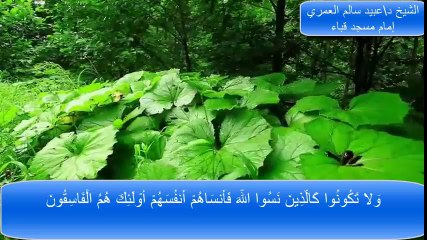 تلاوة جميلة من سورة الحشر الشيخ د\عبيد سالم العمري