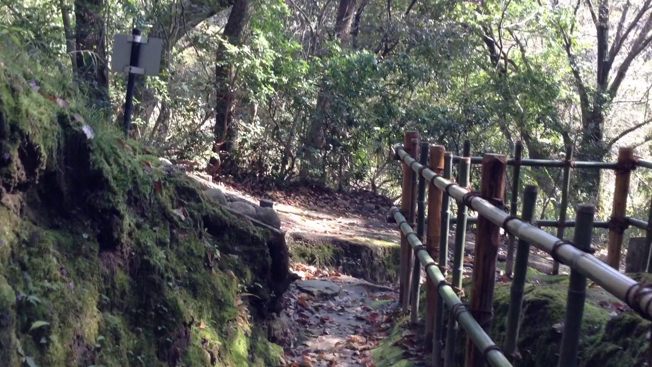 高井田横穴墓群（たかいだよこあなぼぐん）　