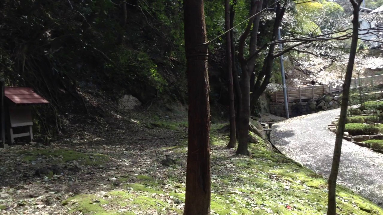 安福寺と玉手山古墳群
