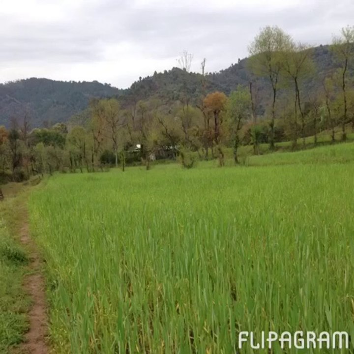 Mobile Capture 05-Apr-2014