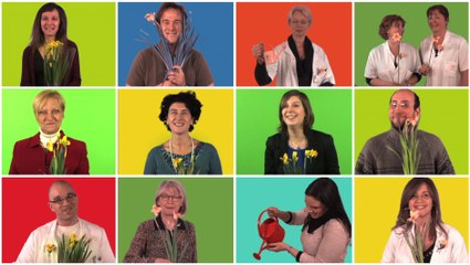 Communication externe : Une Jonquille pour Curie