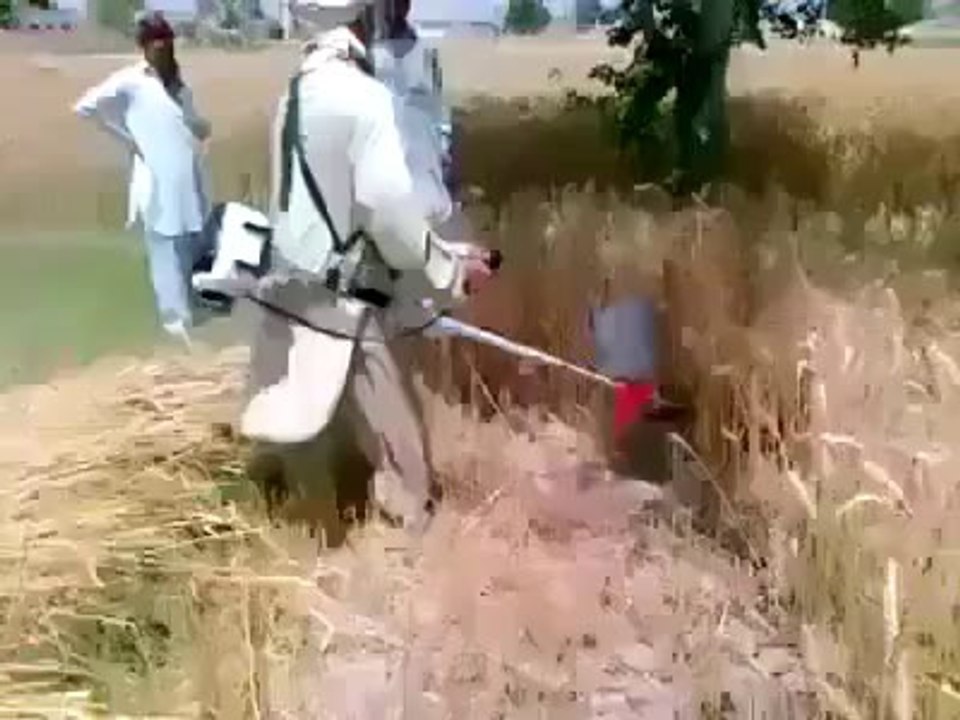 Small wheat cutting machine