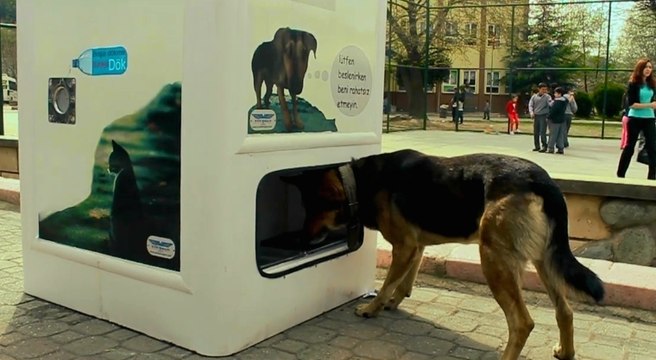 Sokak Hayvanları İçin Üretilmiş Geri Dönüşüm Kutusu - Pugedon