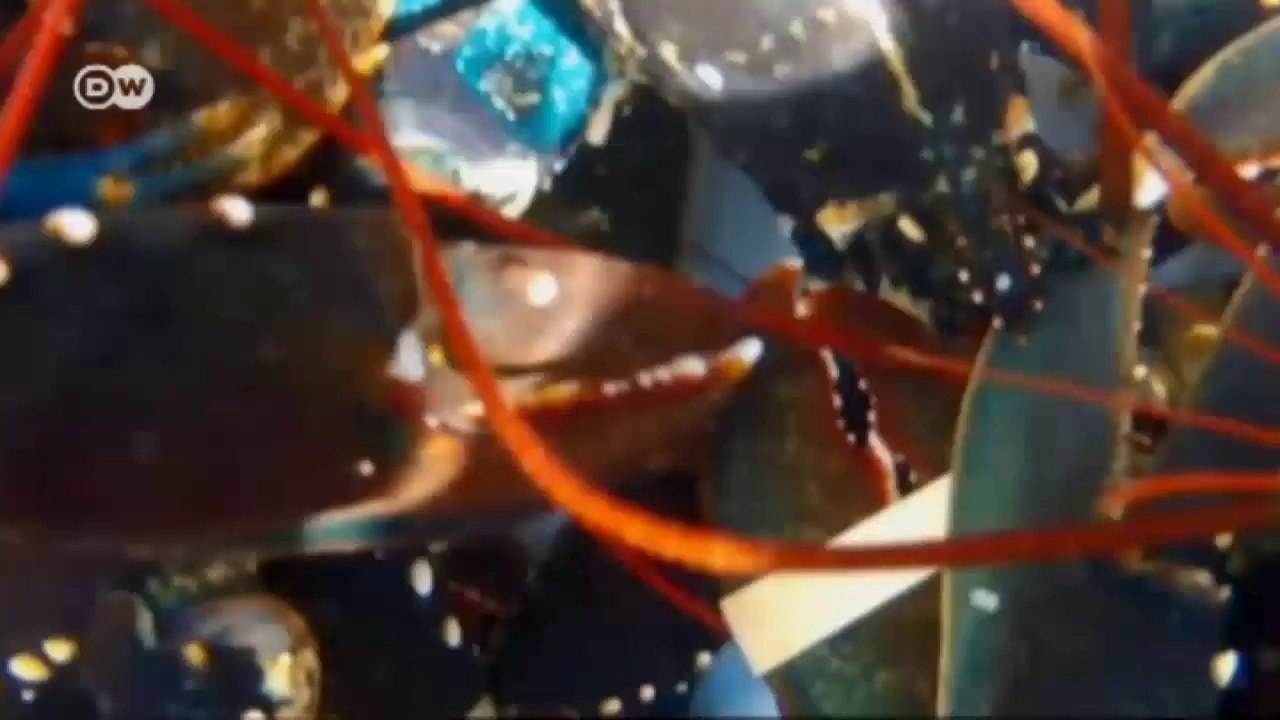 Saint-Malo in der Bretagne | Euromaxx