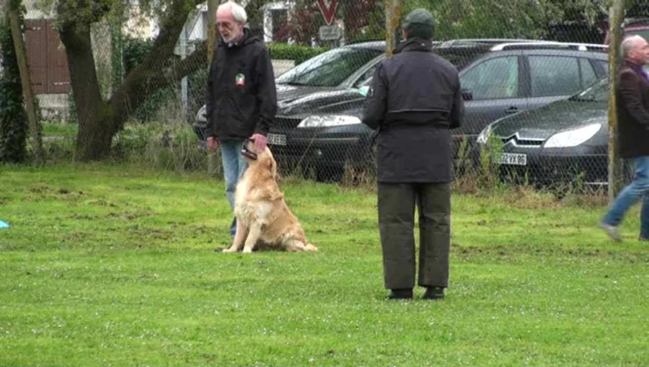 06/04/2014 Haribo concours d'obéissance classe 1