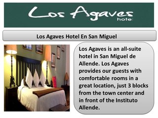 Los Agaves Hotel Boutique San Miguel