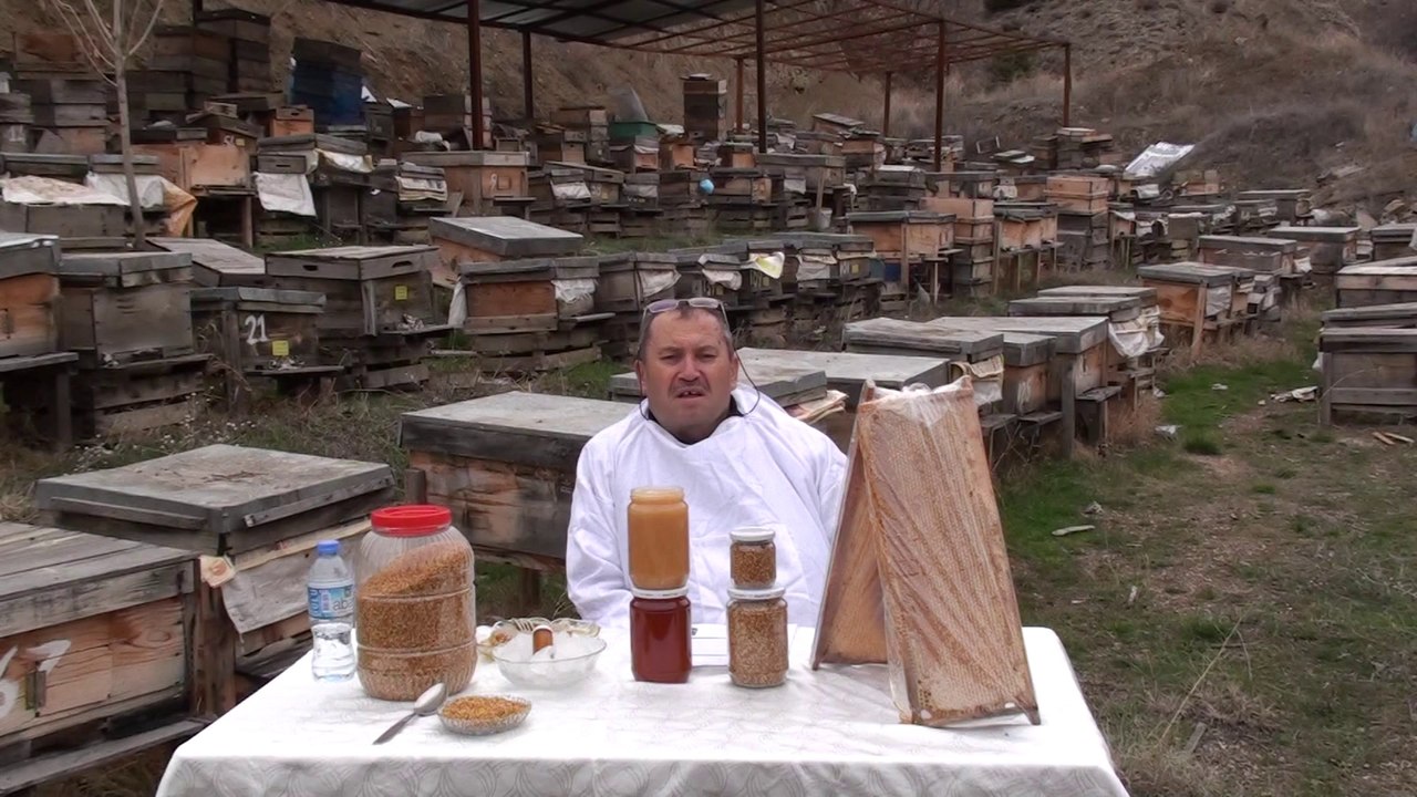 ARILARIN AYRICALIĞI