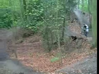 montage été 2006
