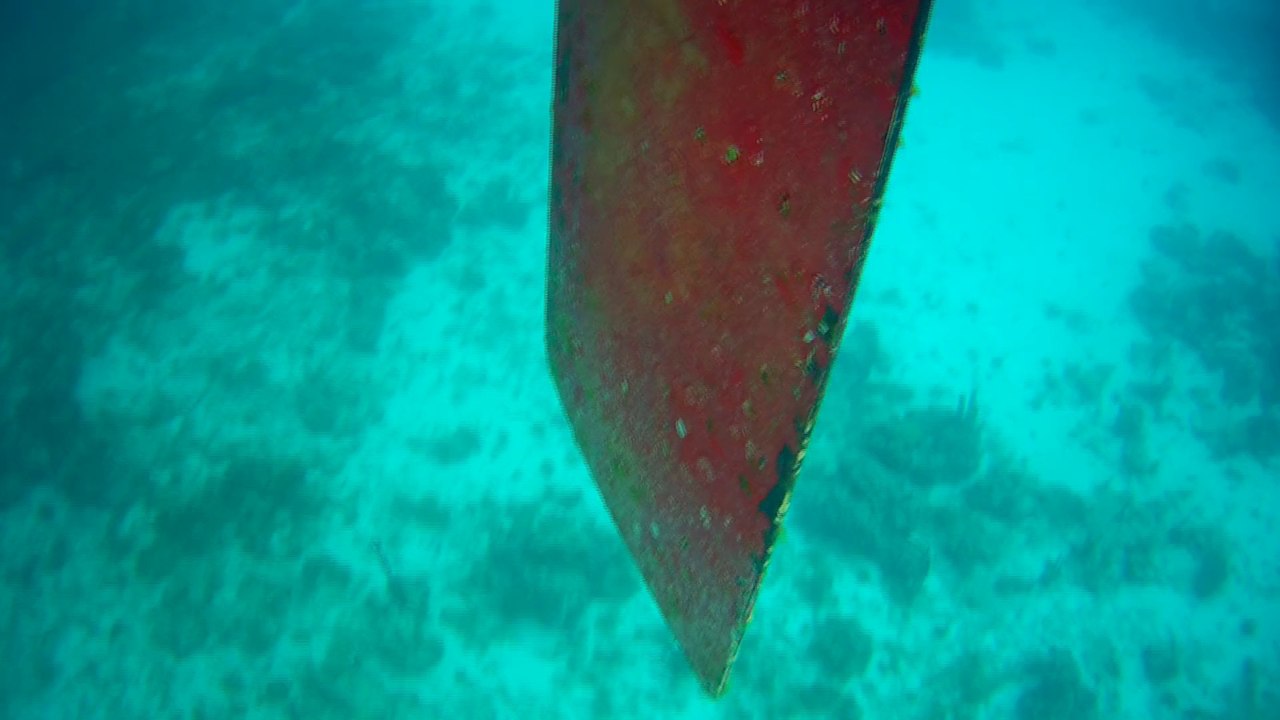 FILE0265
