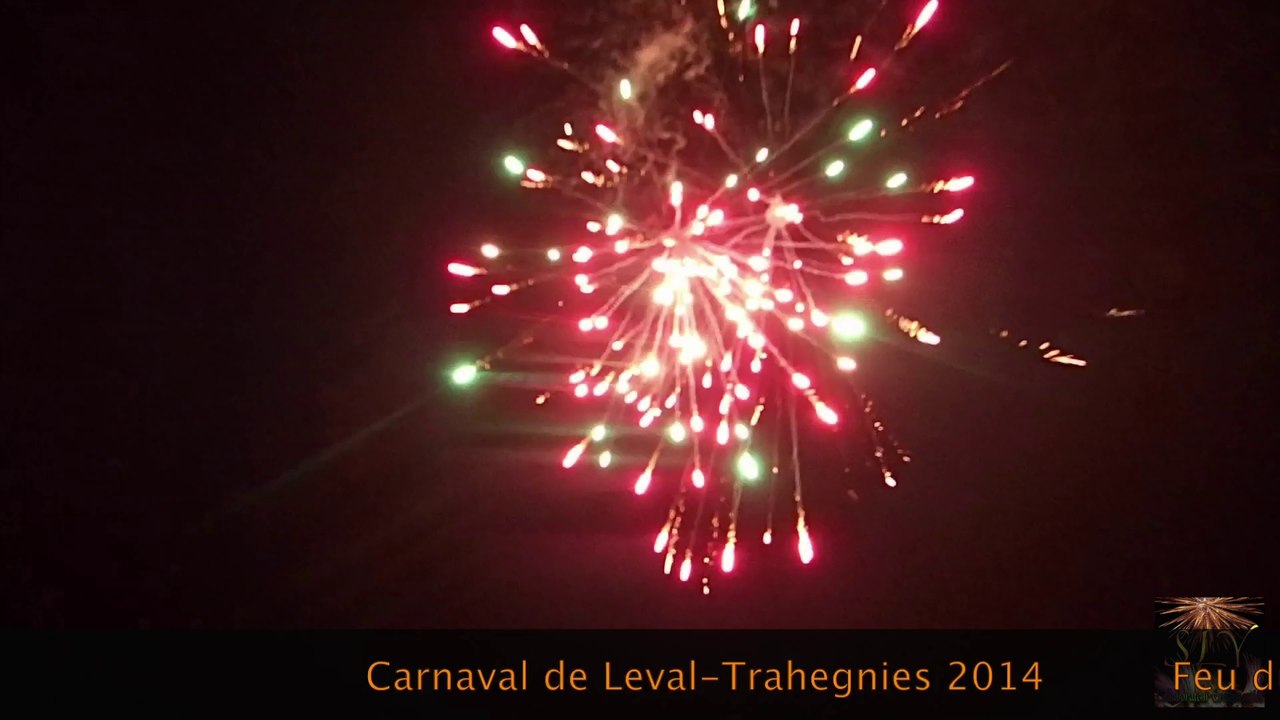 Leval (Be) Carnaval 2014 Feu du dimanche Vidéo et Montage SLY CE Prestation Party-Fices
