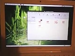 Ubuntu/Beryl sur MacBook