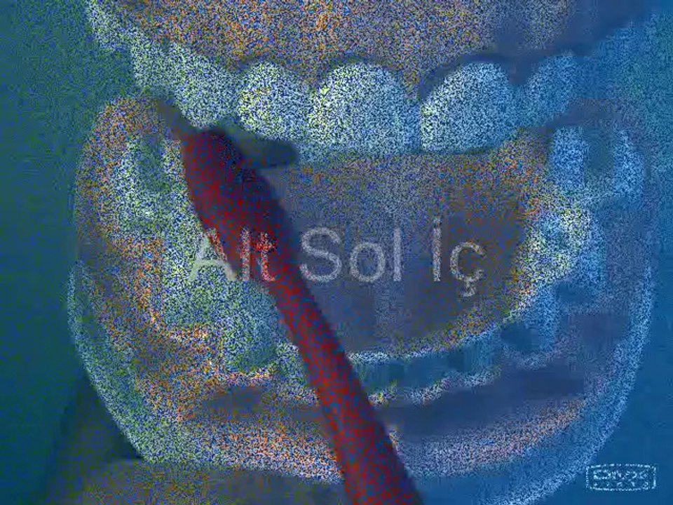 Diş Fırçalama Yöntemi ( Kadıköy Belediyesi Çocuk Ağız ve Diş Sağlığı Merkezi )