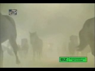 Clip de Shakira modifié