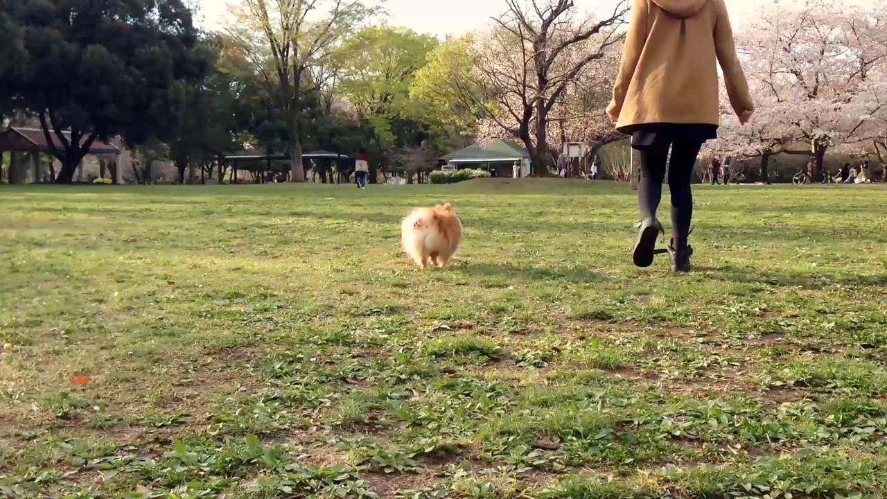 COCO♡