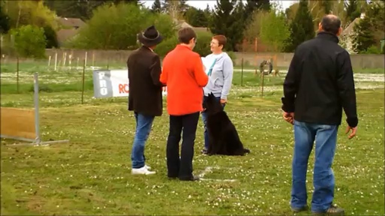 poitiers , 5 et 6 avril 2014 csau, brevet , classe1