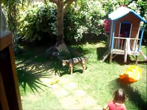 Tranches de vie en décembre 2013 La Réunion