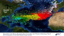 Simulation de la répartition des déchets plastiques dans l'Atlantique nord
