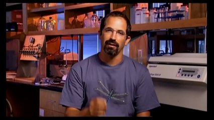 The Evolution of Venom - Who is The Most Poisonous_ [Full Documentary] 2014