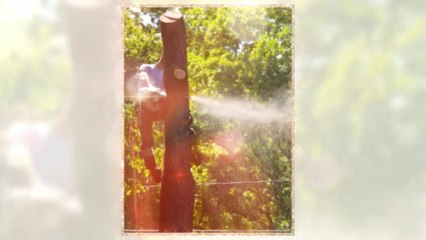 Marc St. Laurent Complete Tree Service (508) 763-5955