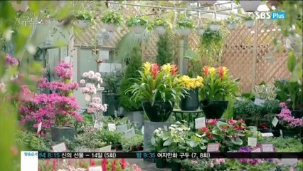 Her Lovely Heels 8. Bölüm Türkçe Altyazılı