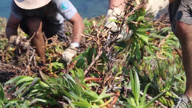 BILAN PIM 2013 - Une année sur les petites îles