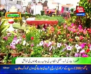 Kasur arrival of spring, district administration arrange flower exhibition