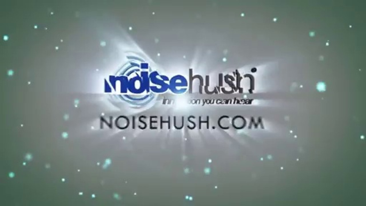 NoiseHush - NS560 - Clip-on Bluetooth Dongle