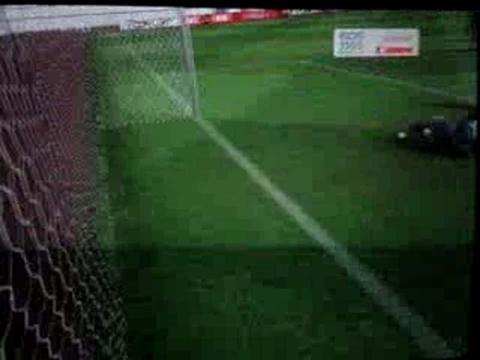 amorti poitrine vole