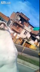 Gözlerinize İnanamayacaksınız.. Motor Süren Köpek!