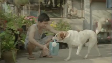 Dünya'yı değiştirmek sizin elinizde. Mükemmel bir video.