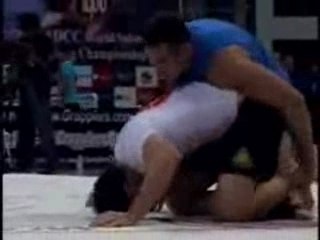 roger gracie vs fabricio werdum