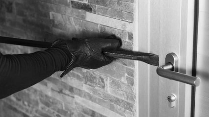 Home Invader Revealed to be a Duck