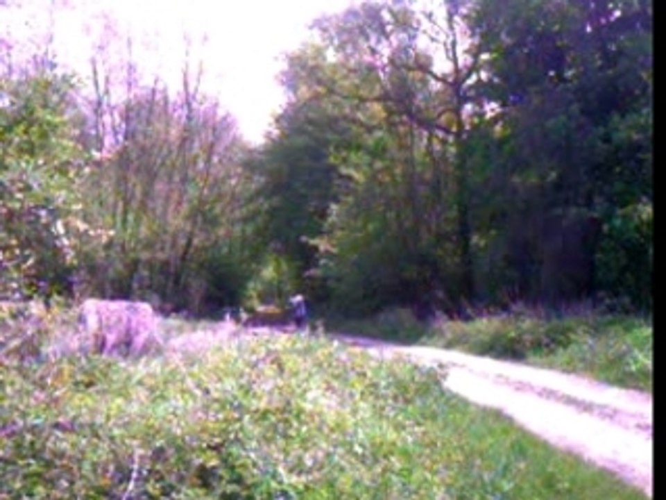 YZ85