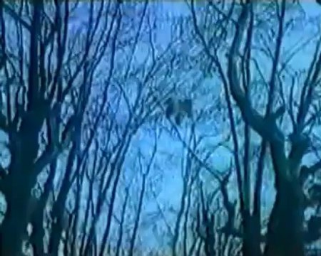 ARZU KARADOĞAN ''ARKADAŞK''