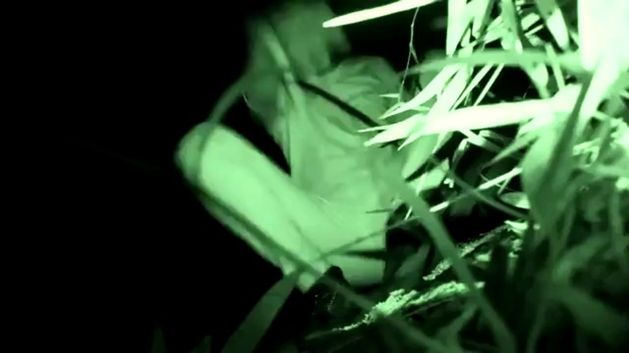 Ia Wujud (It Exits) - Trailer
