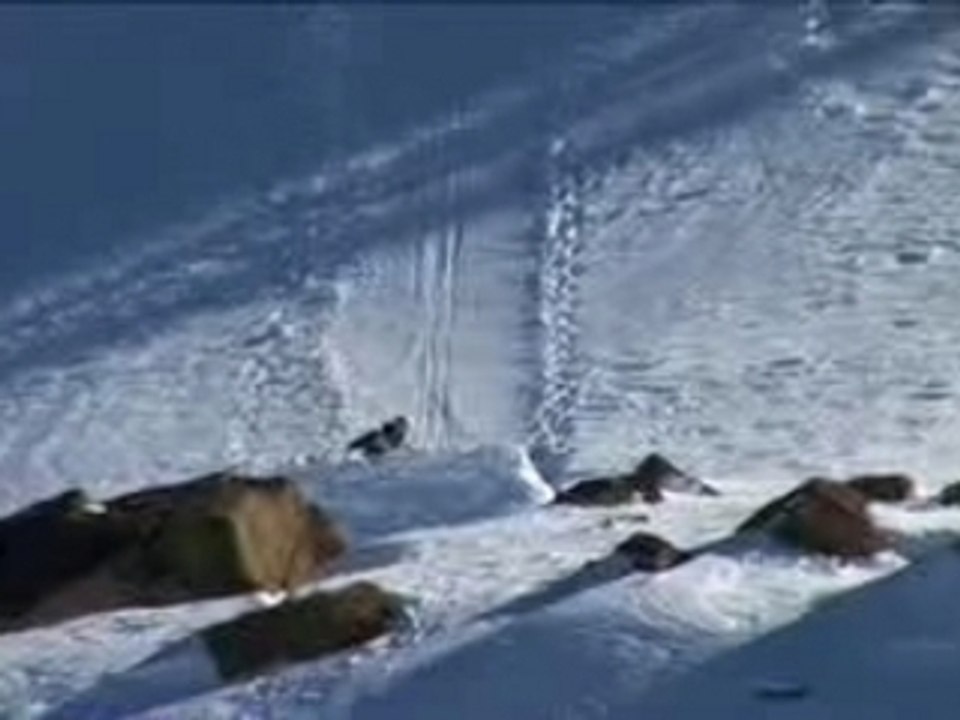 Long Story Short teaser