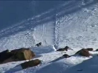 Long Story Short teaser