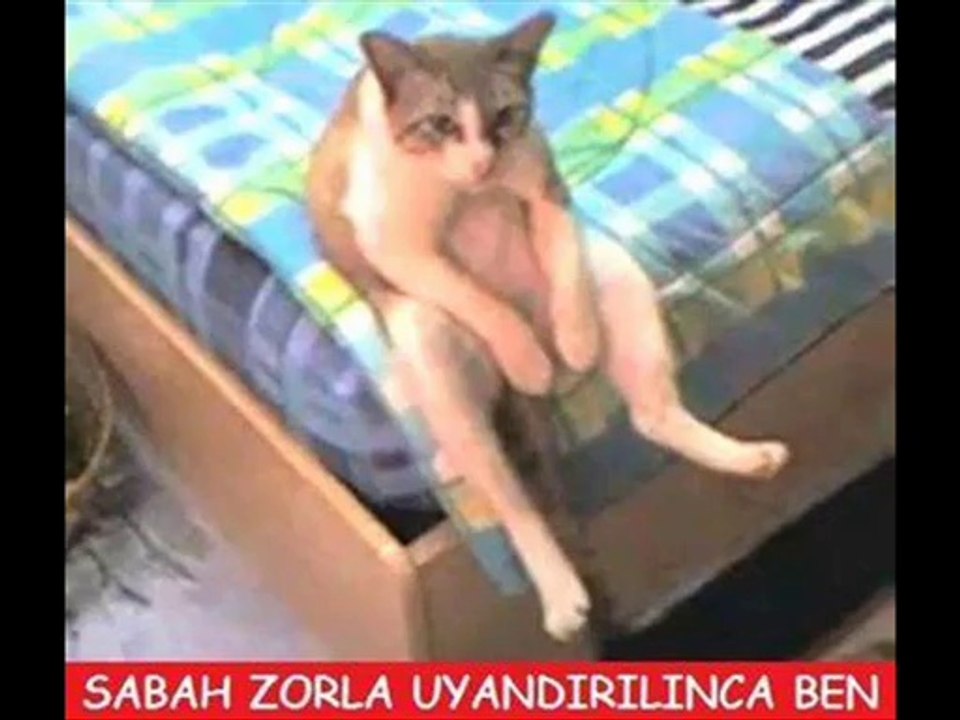 En İyi Caps lar