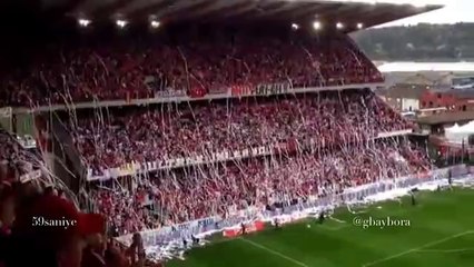 Sahaya Binlerce Tuvalet Kağıdı Atmak