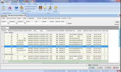 AmonRa Rapor Ekranları Kullanımı