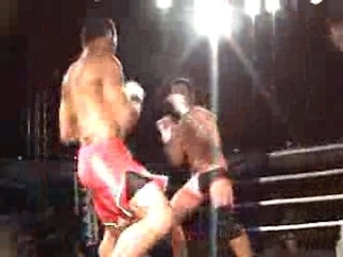 crocota minotauro team