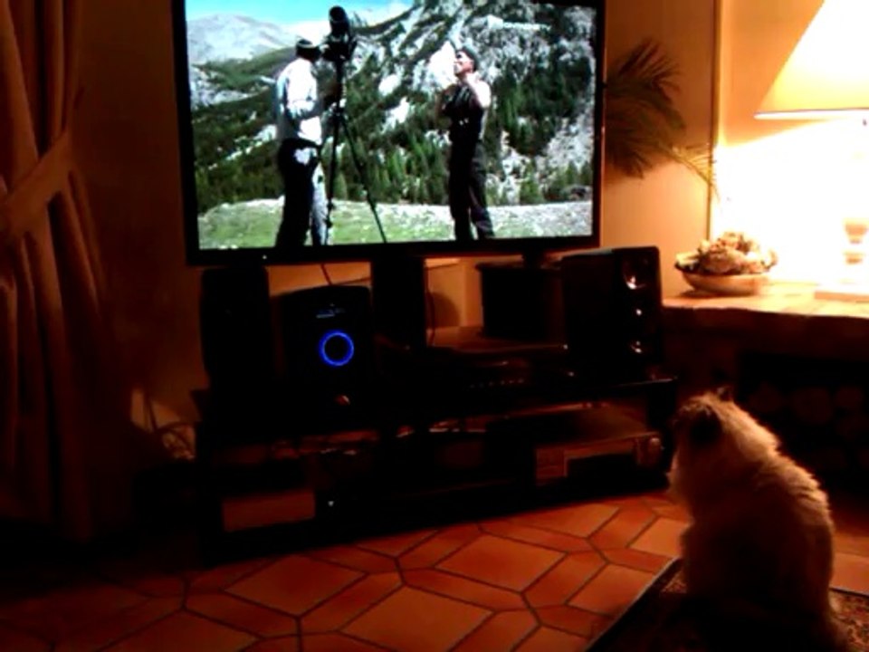 Céleste aime la télé