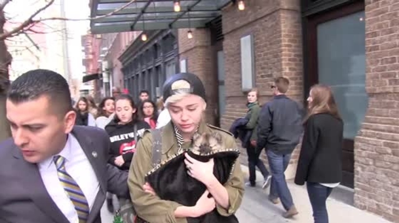 Miley Cyrus Has A New Puppy: Moonie!