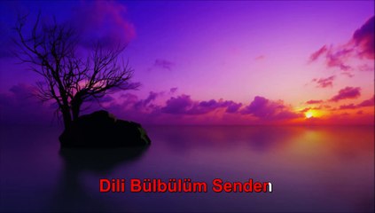 Mehmet SÜMER - Ayrıldım Güler miyim