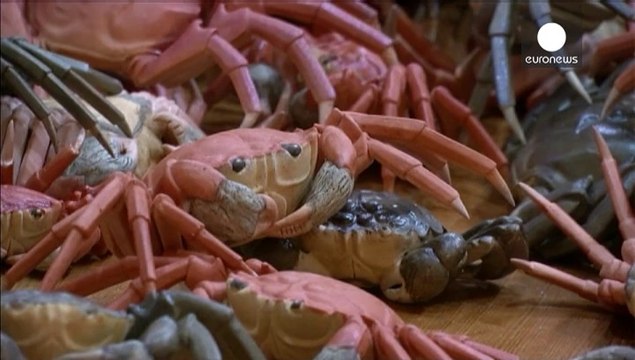 Largest Ai Weiwei show ever opens in Berlin