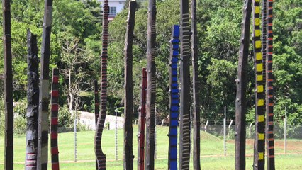 Arbres Brûlés VF